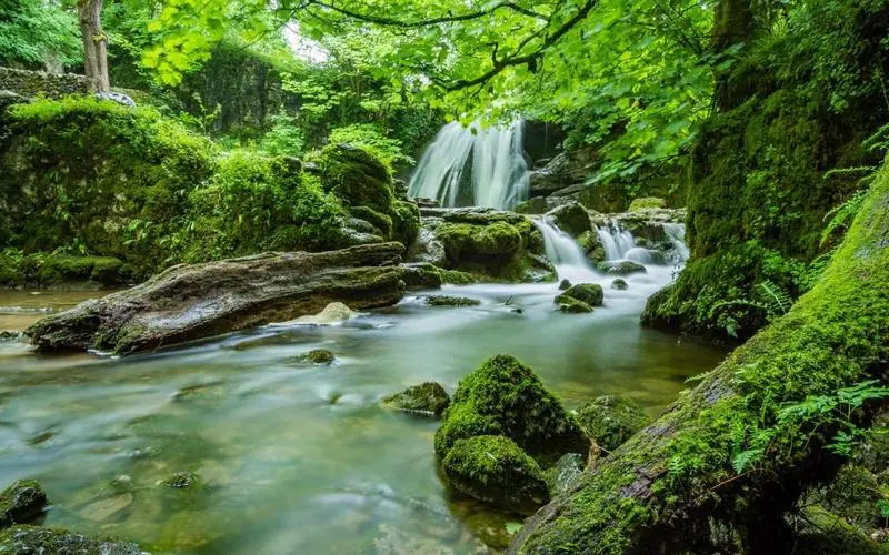智能可靠性